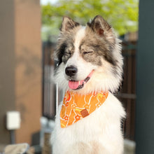 Load image into Gallery viewer, Thong Yib &amp; Foi Thong: Pet Bandana
